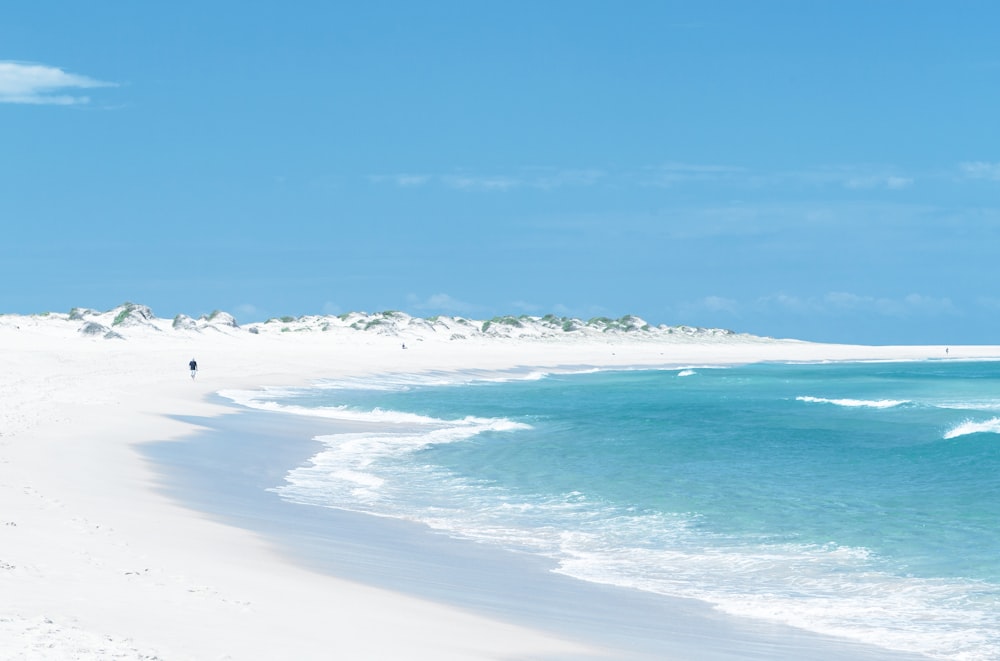 landscape photograph of white sand beach