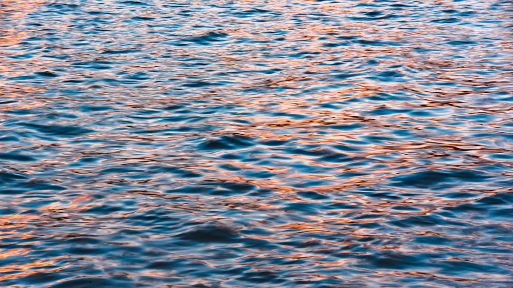 blue body of water during daytime