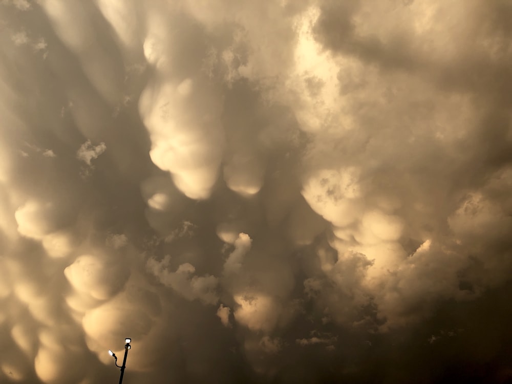 cumulus clouds