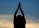 A silhouette of a person with arms raised against a sky that transitions from blue to light orange, creating a serene and contemplative scene. The person appears to be holding their hands together, potentially in a gesture of meditation or prayer.