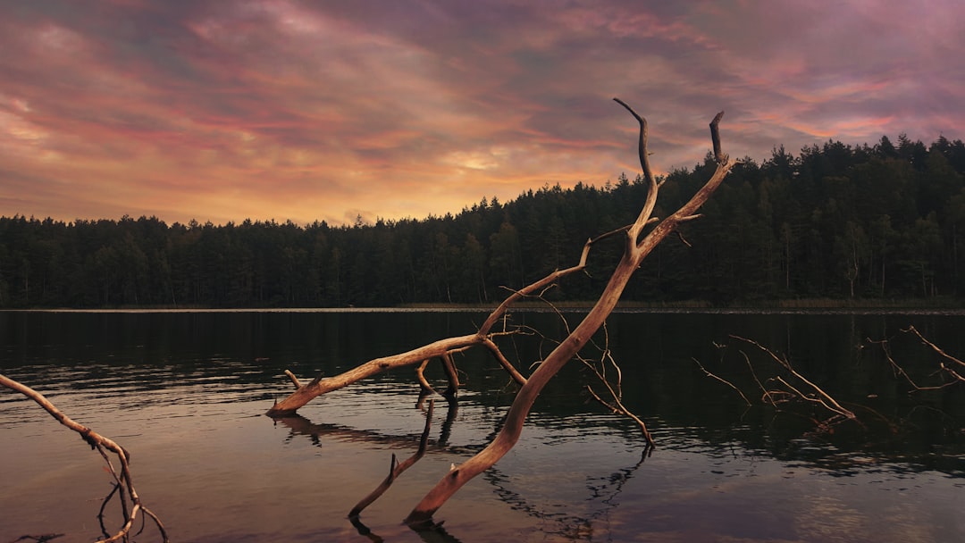 travelers stories about Lake in 114, Lithuania