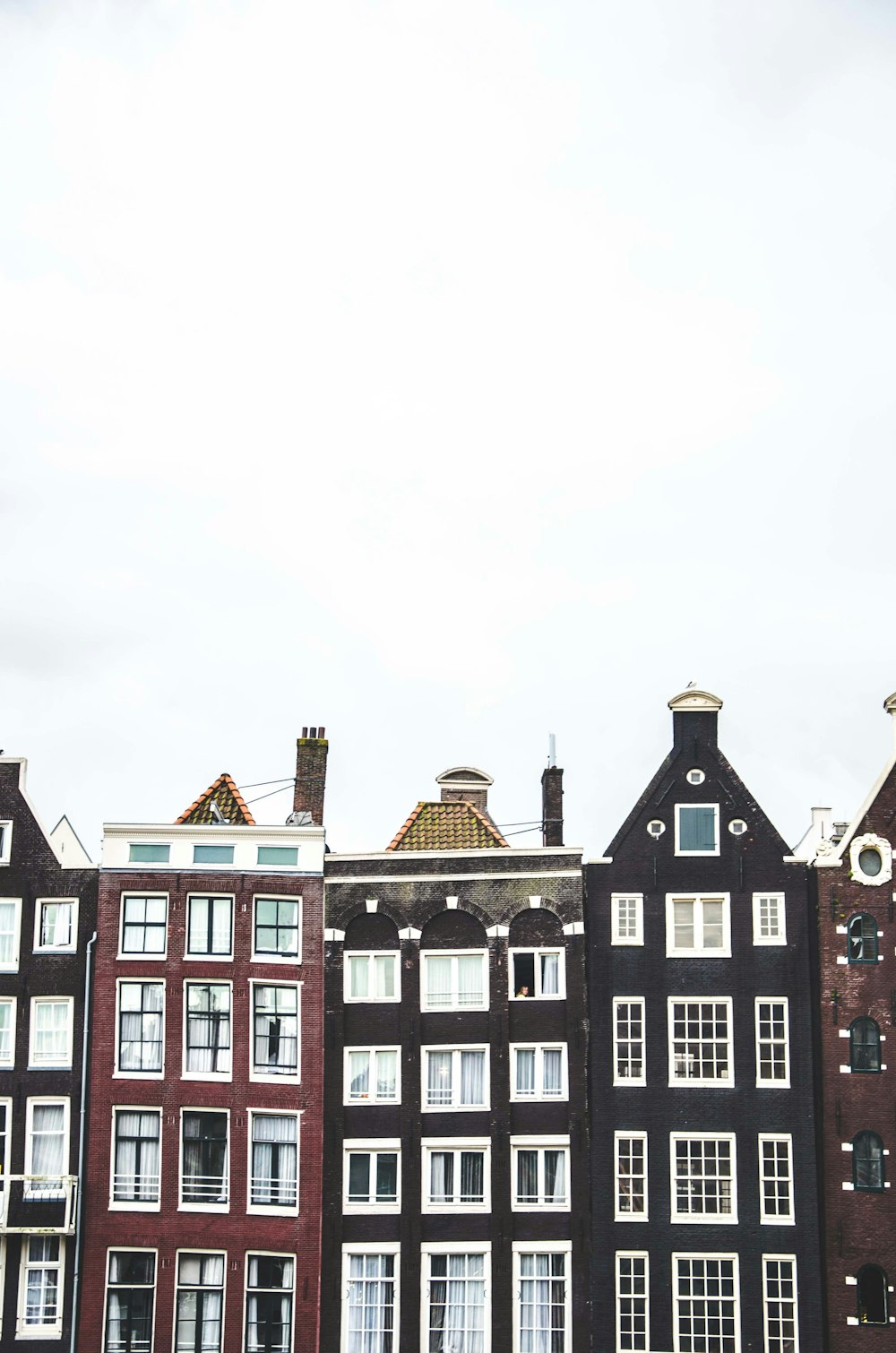 black and maroon buildings