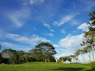 A vibrant image showing a diverse group of people enjoying nature on Earth.