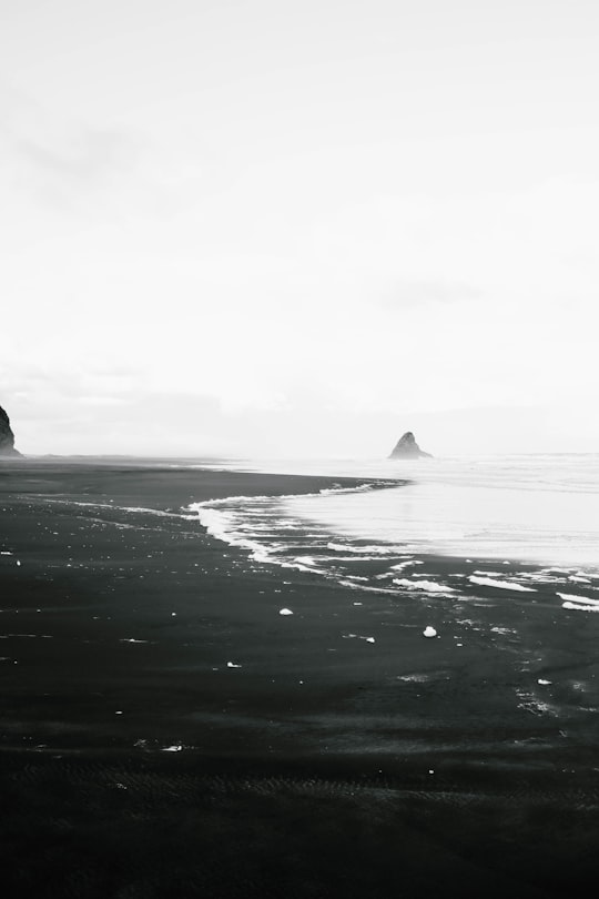 seashore near mountain range in Karekare New Zealand