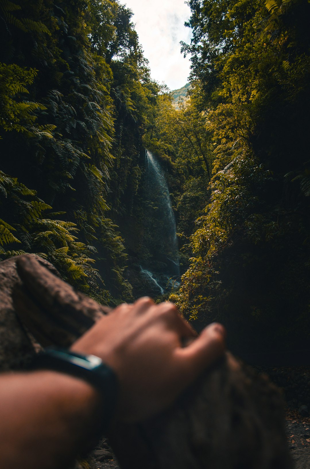 photo of La Palma Waterfall near Teneguía