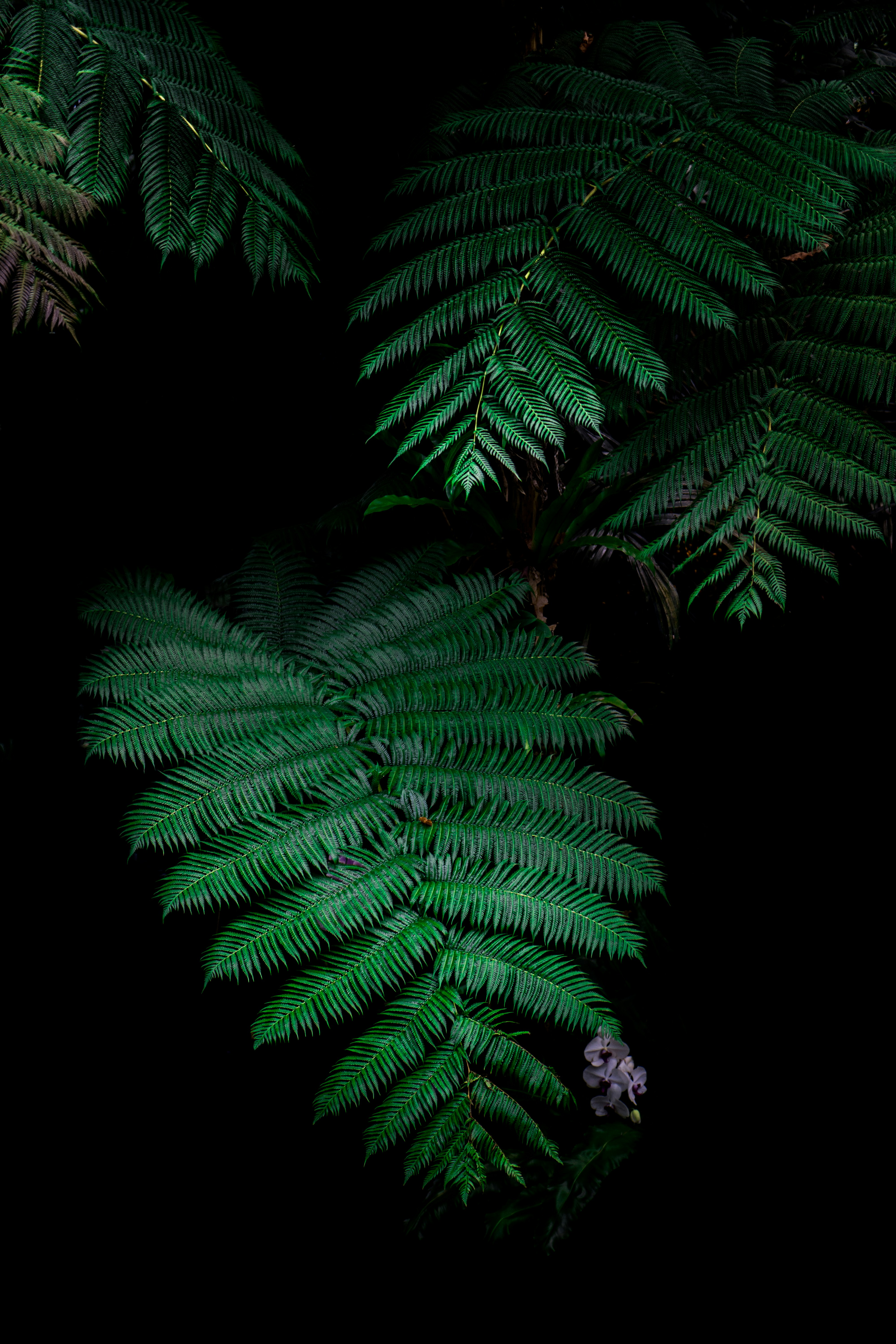 Photo by jocelynwong