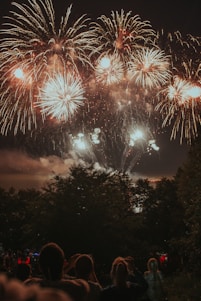 group of people watching fireworks display