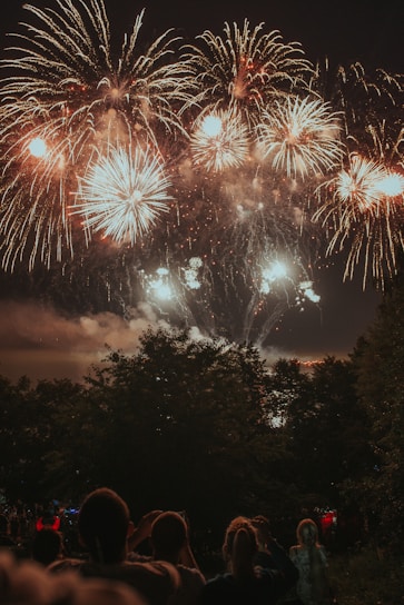 group of people watching fireworks display