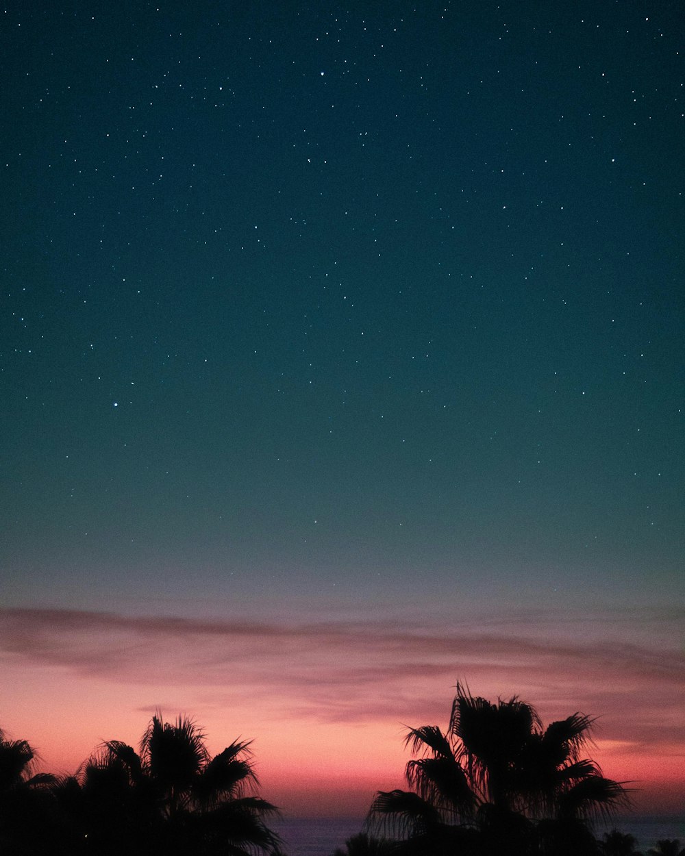 45,628+ Summer Night Pictures  Download Free Images on Unsplash