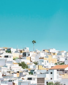 white and brown concrete houses under blue sky during daytime