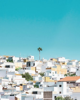 white and brown concrete houses under blue sky during daytime