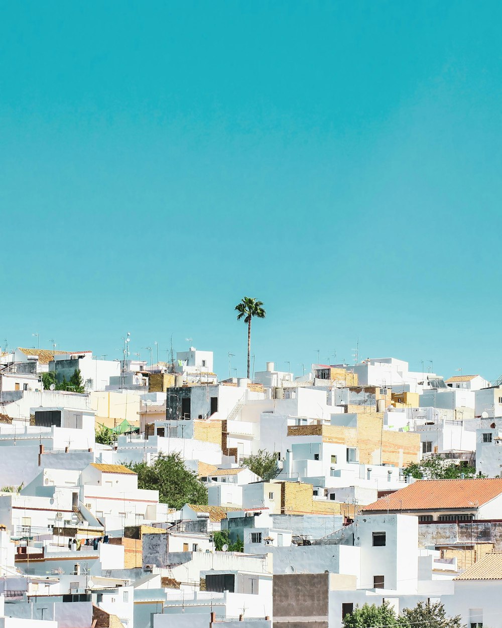 white and brown concrete houses under blue sky during daytime