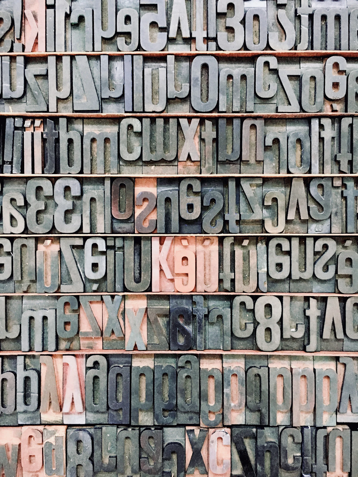 Trays of metal type in a composing room