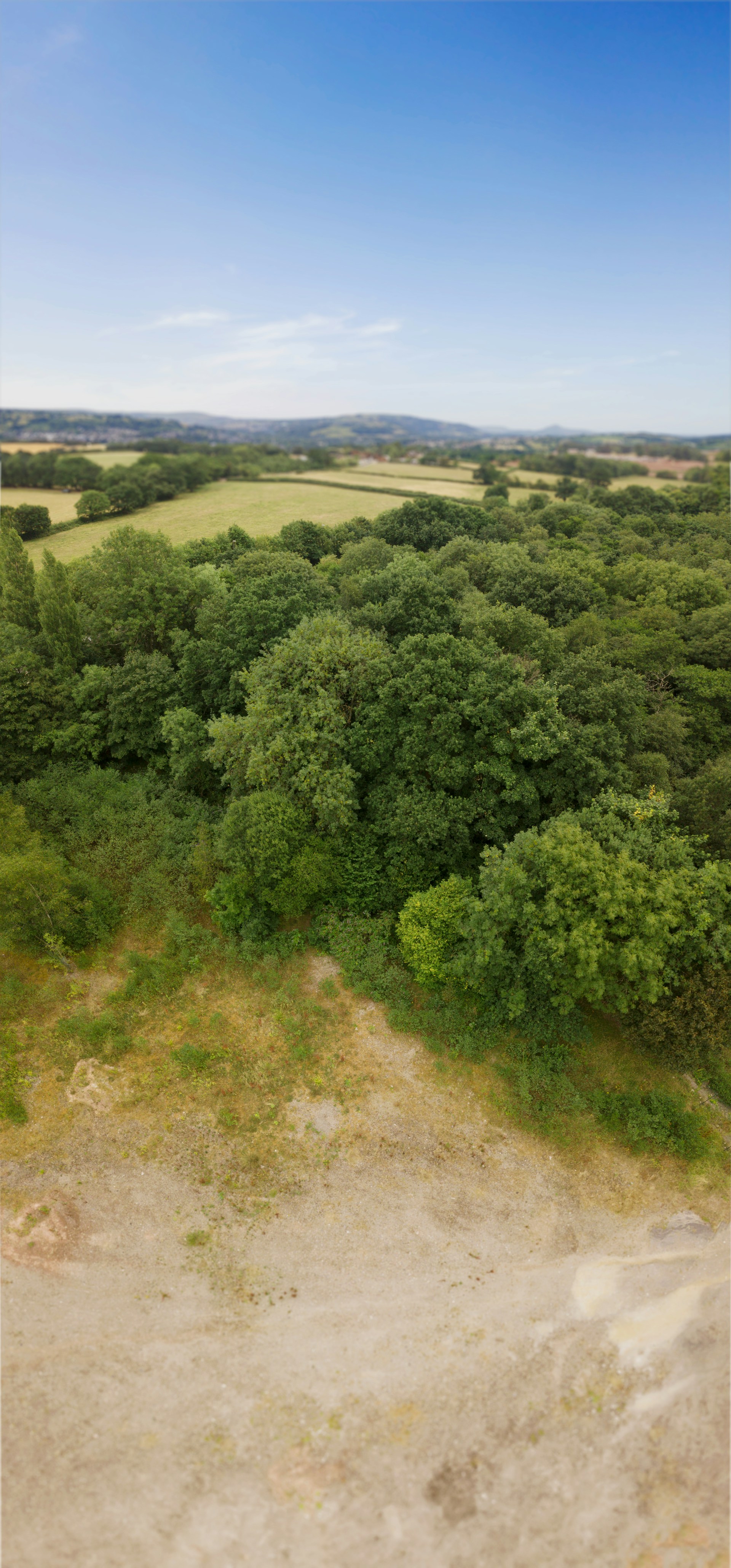 woman wearing yellow long-sleeved dress under white clouds and blue sky during daytime