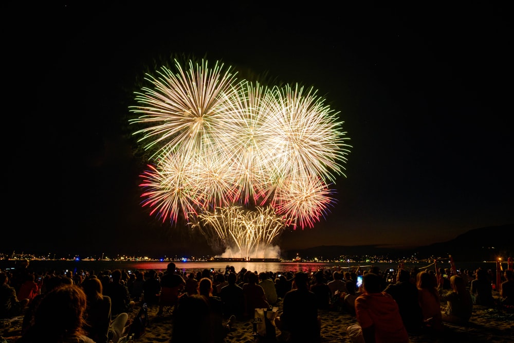 people watching fireworks display during nighttime