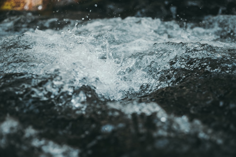 close-up photography of broken ice