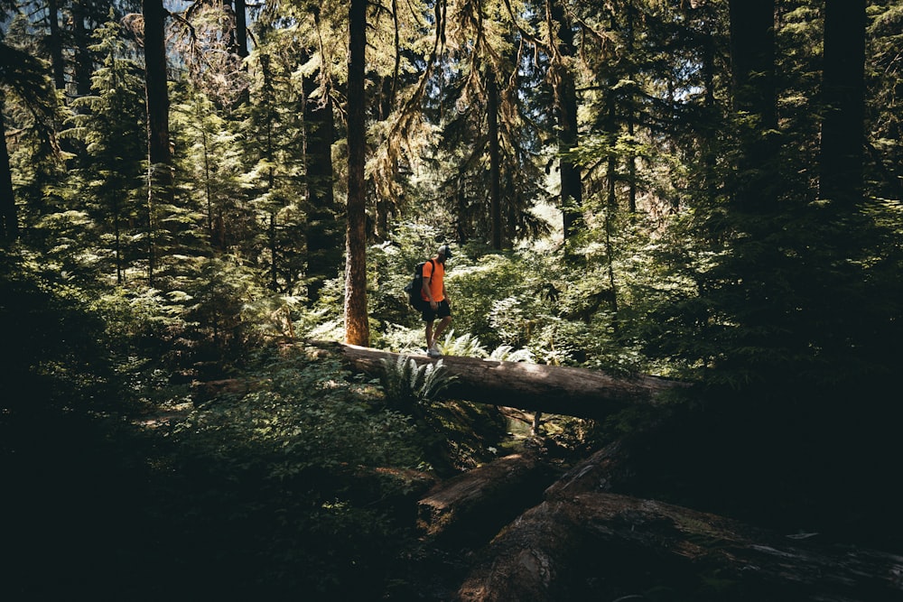 man standing on fallen tree log