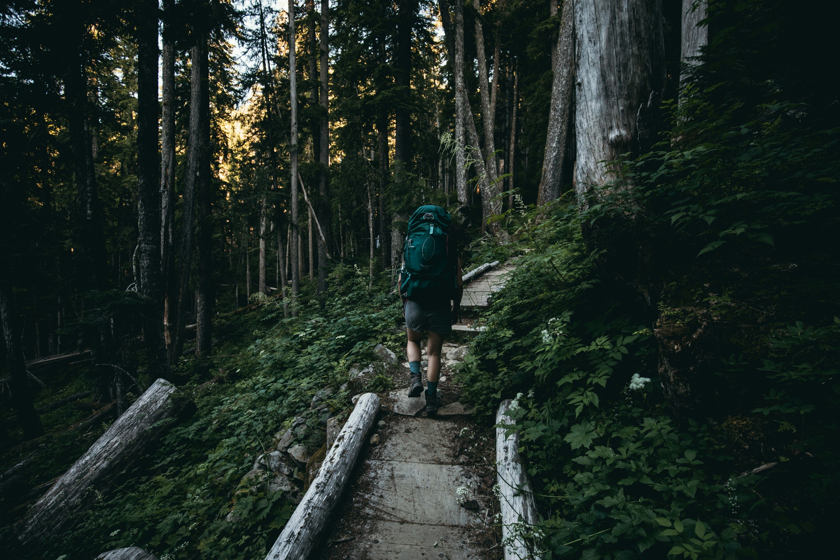 Photo by kyleloftusstudios