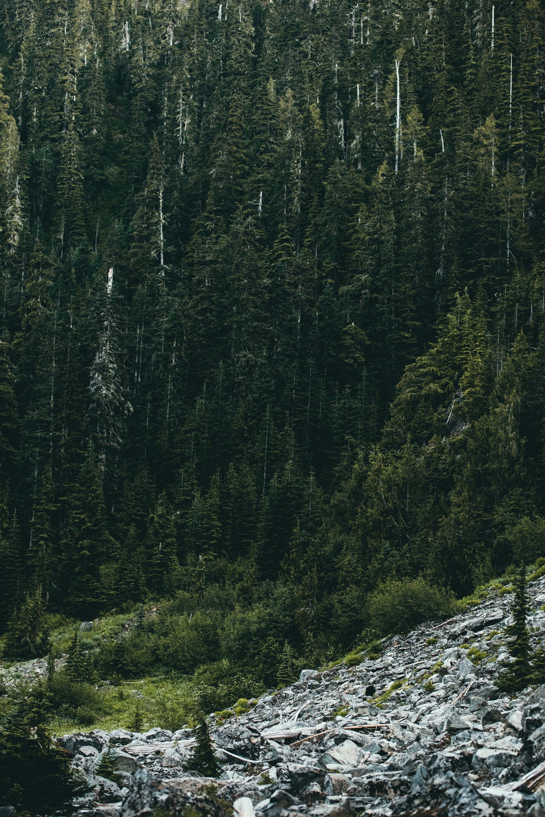 Photo by kyleloftusstudios