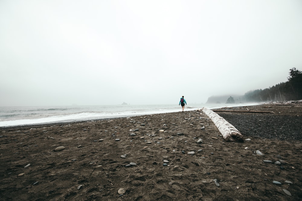 person walking on seashore at daytime