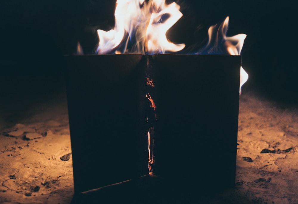 Photographie en accéléré de feu de joie