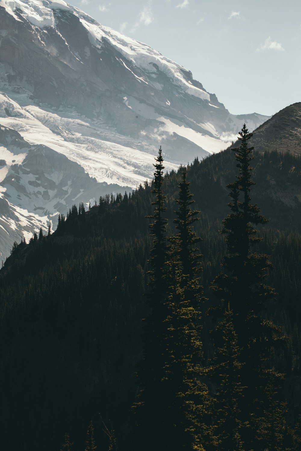 mountain filled with snow