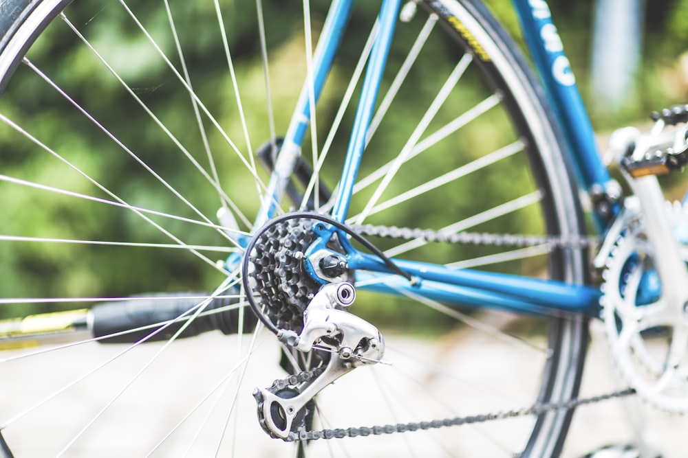 Parcheggio per biciclette blu vicino all'albero