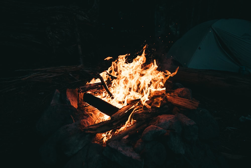 Brennen von Holz