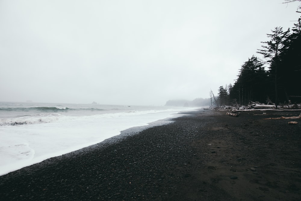 grayscale photography of seashore