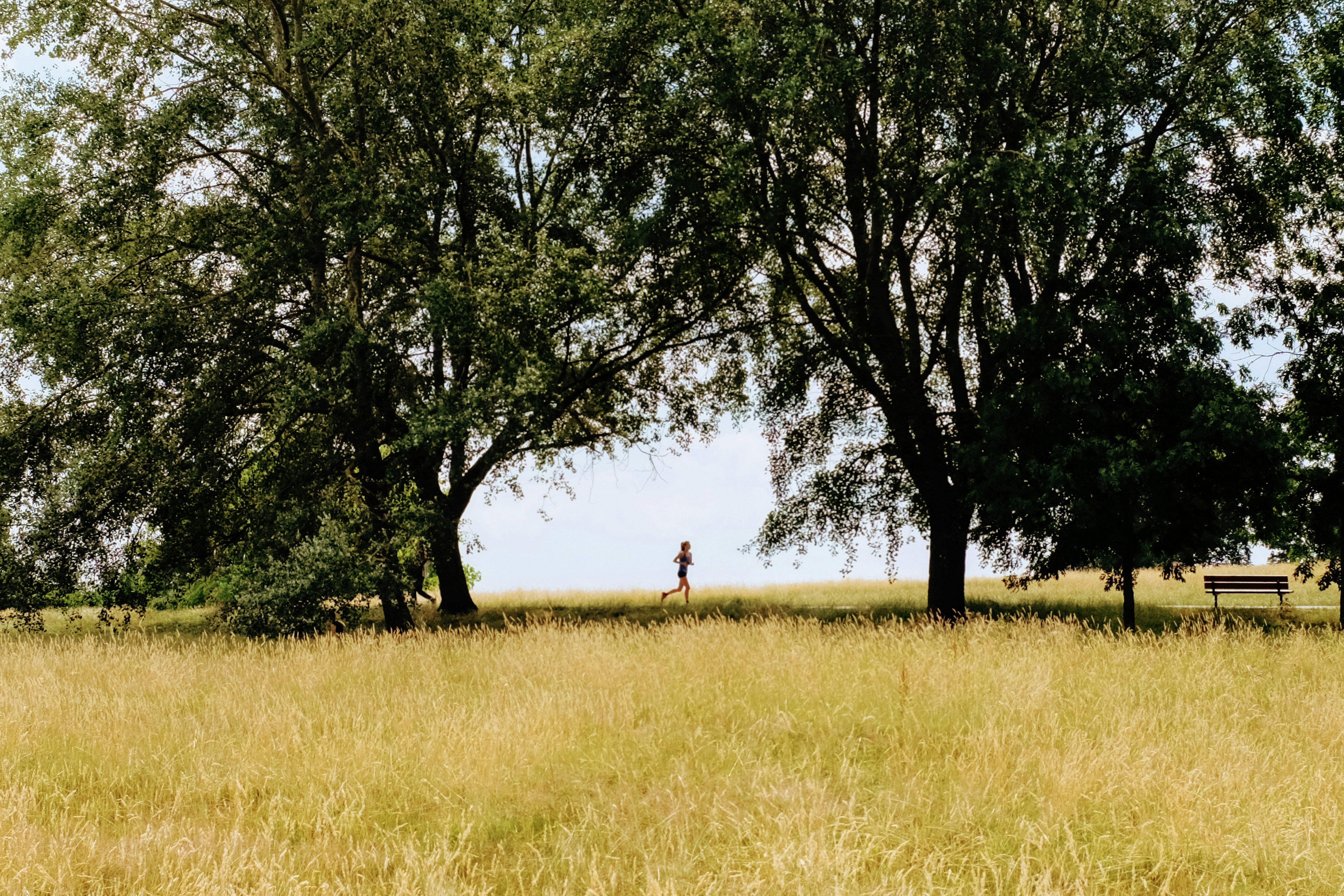 Photo by charlieegan3