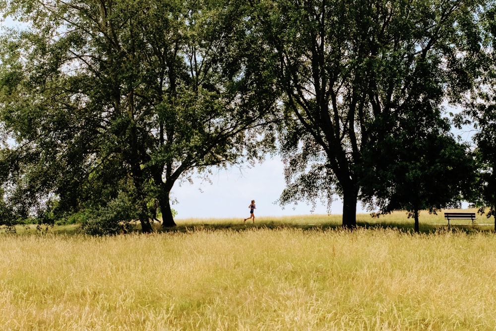 person running on grass field beside tree