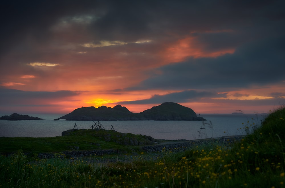 grass field with flower overlooking island in distance during sunset