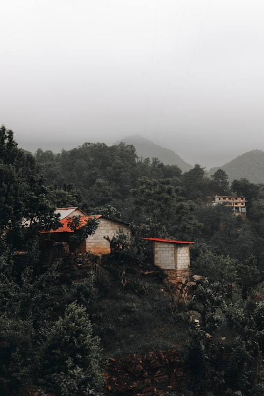 gray and red concrete house surrounded by green trees in Pinal de Amoles Mexico