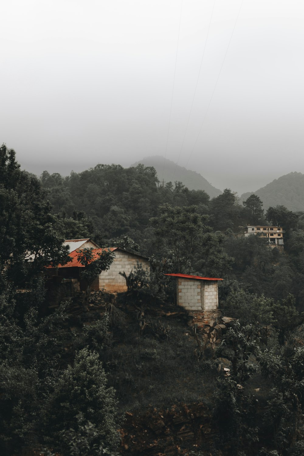 gray and red concrete house surrounded by green trees