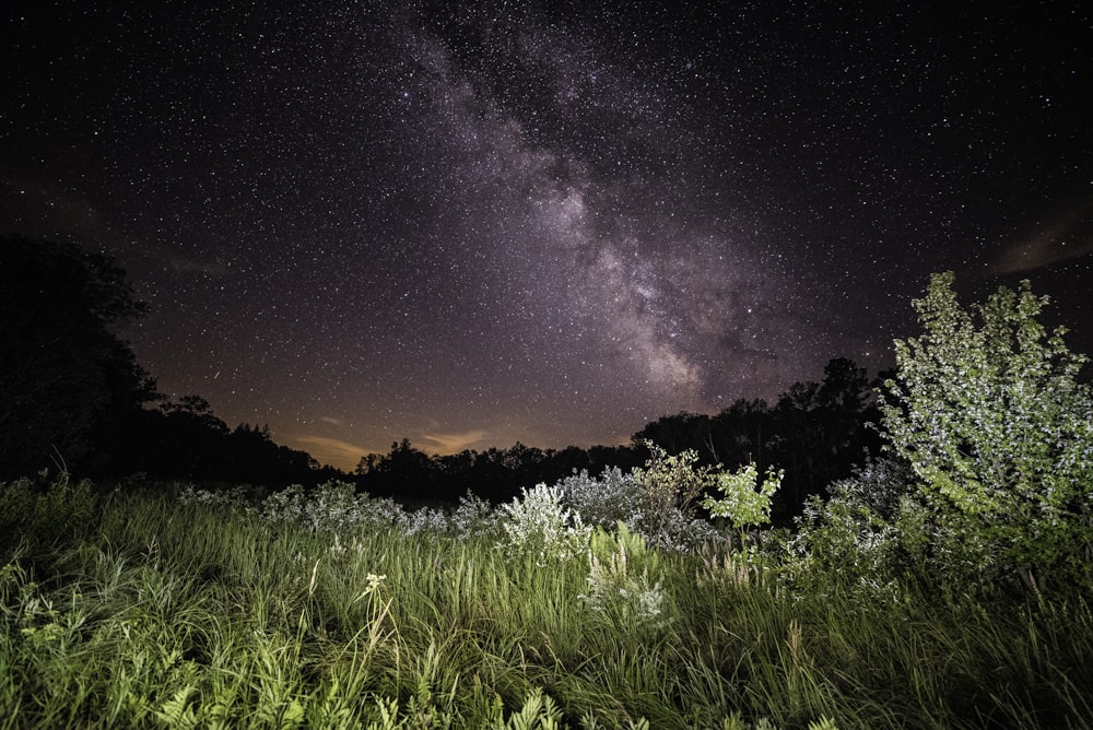 time lapse photography of sky over grass