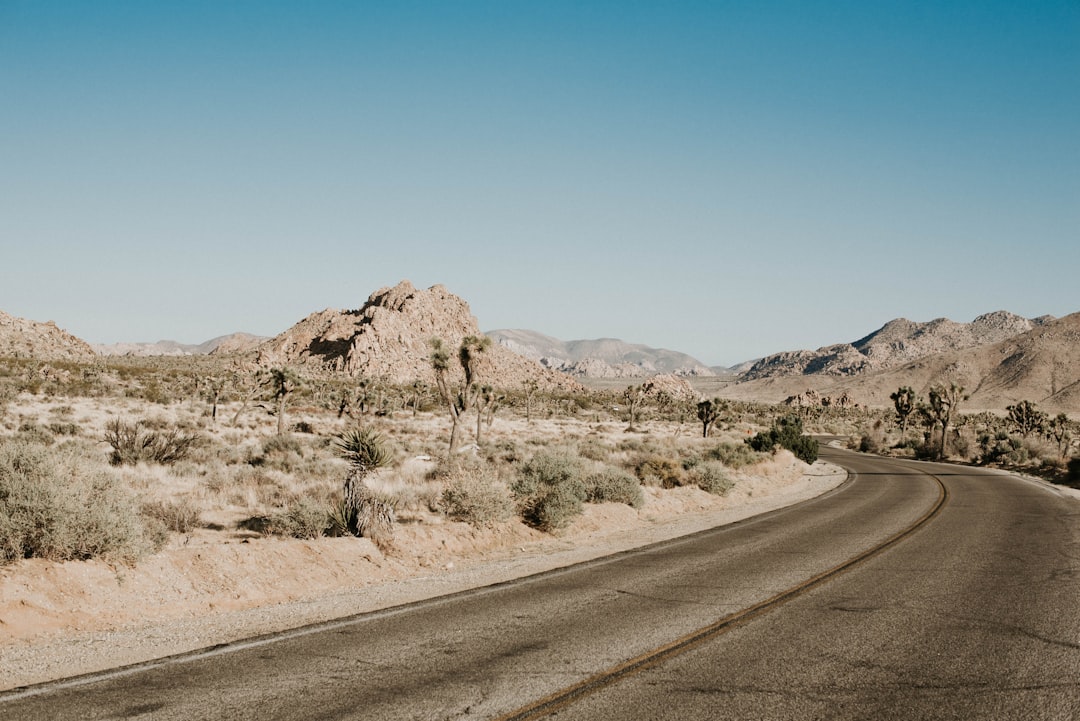 Road trip photo spot Joshua Tree National Park Borrego Springs