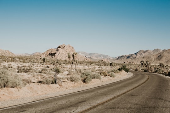 gray road in Joshua Tree National Park United States