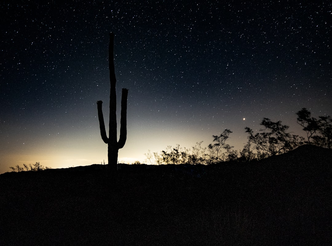 Desert Photography