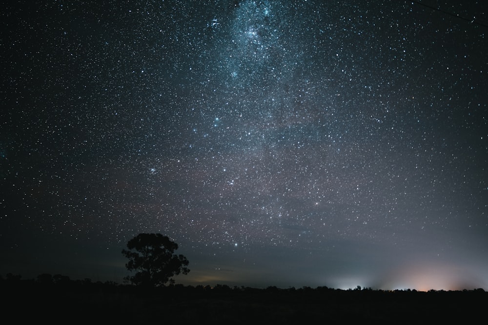 time lapse photography of sky over tree