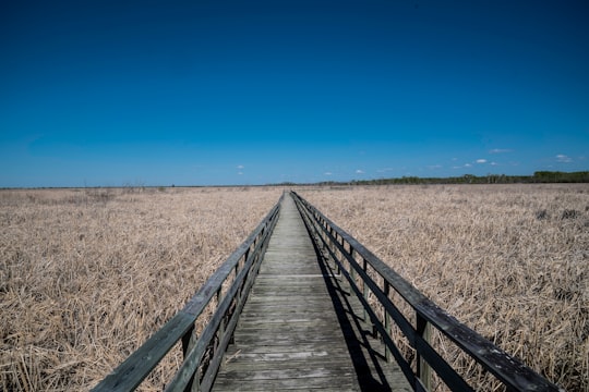 gray wooden pathway with rails between grass field in Grindstone Provincial Park Canada