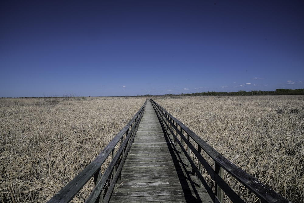 gray wooden pathway with rails between grass field