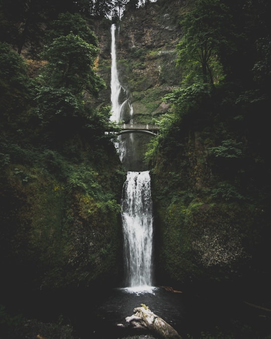 waterfall in between mountains with bridge in Multnomah Falls United States