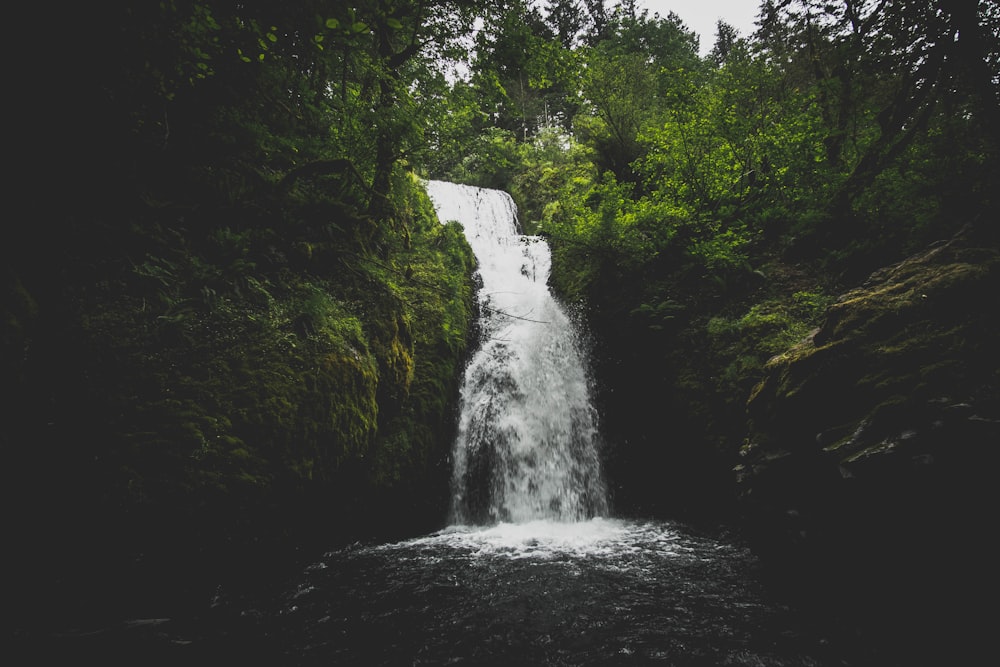 Wasserfall, der tagsüber von grünen Laubbäumen umgeben ist