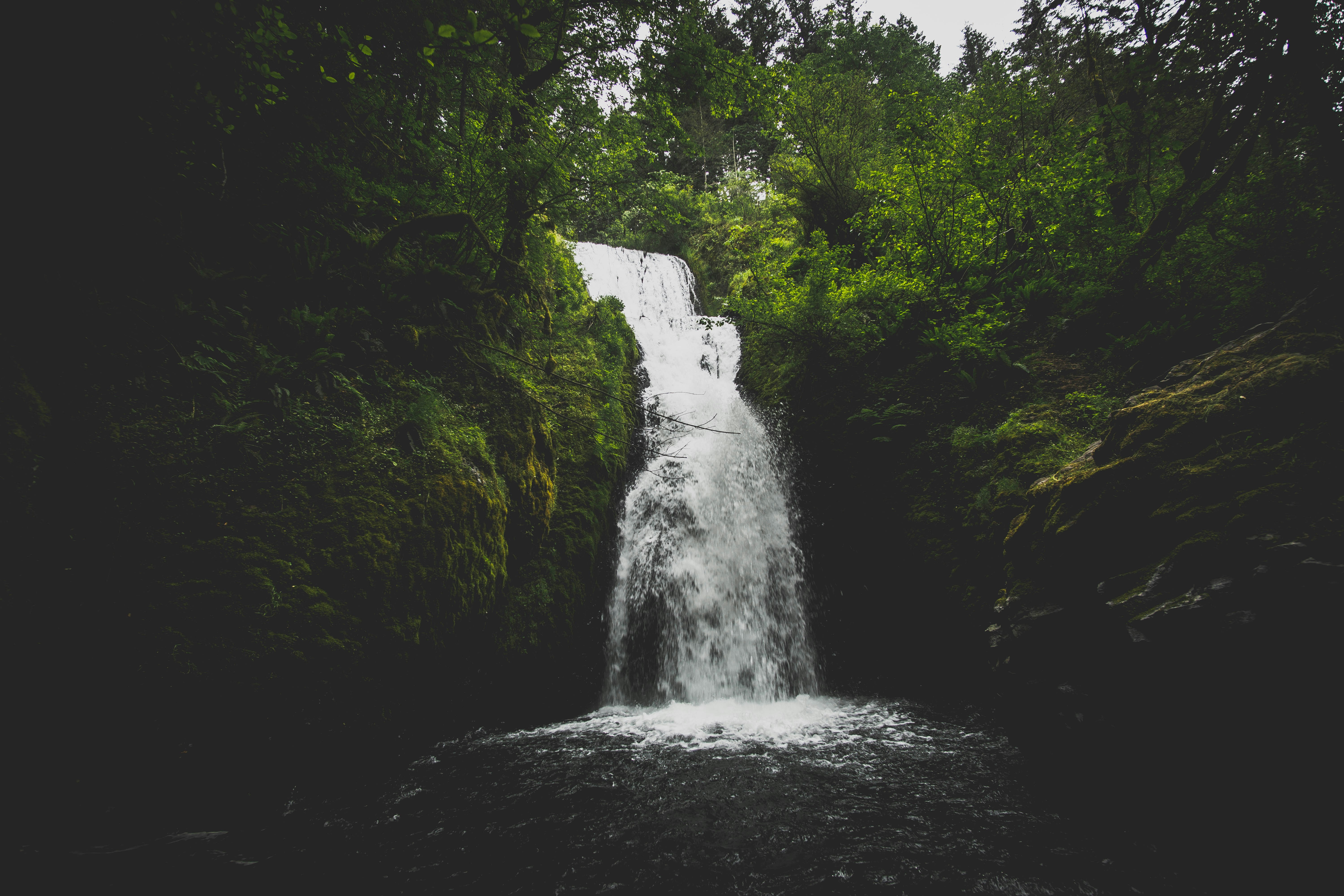 Hike was short, and definitely worth the stop if your near Multnomah Falls.