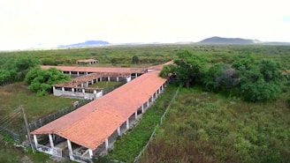 An aerial view of a rural landscape with a series of long, narrow buildings with red-tiled roofs surrounded by lush greenery and trees. The area is expansive, with a fence enclosing the structures. In the background, distant hills or mountains are visible against a bright sky.