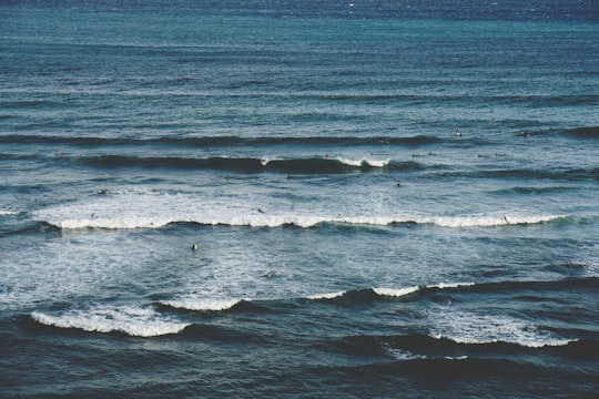 people on ocean in Honolulu United States