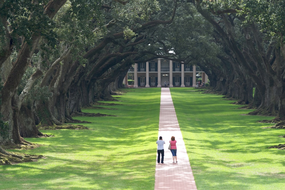 two people walking under trees
