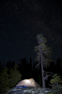 A float tent suspended between two trees over rocky, uneven ground at dawn.