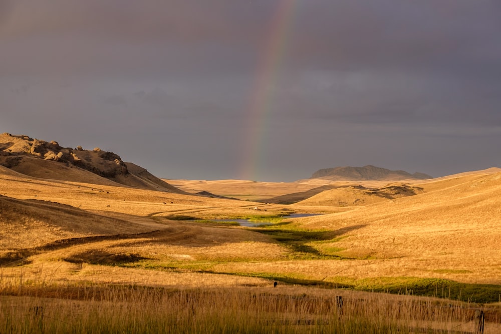 rainbow over dried grass field