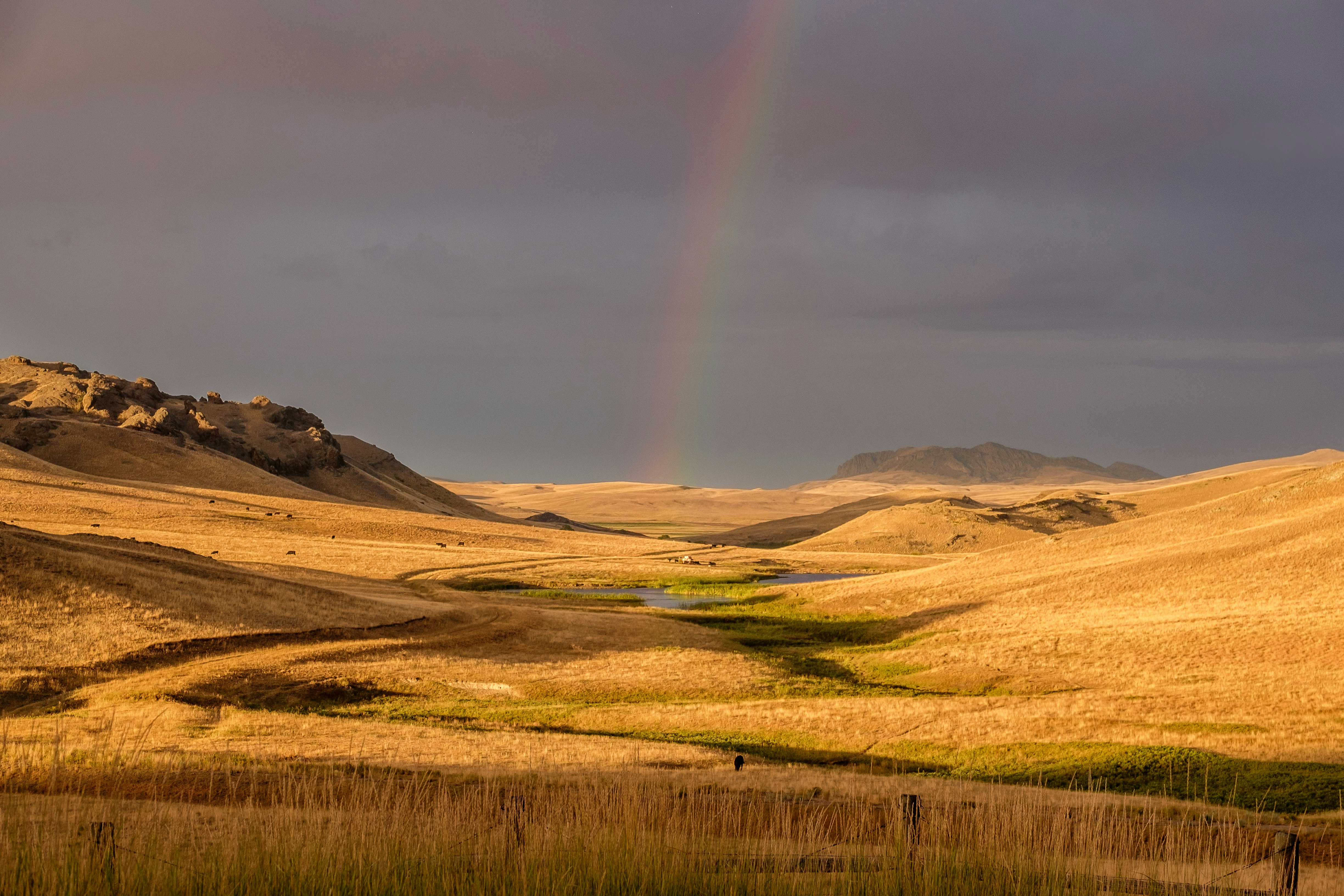 rainbow over dried grass field